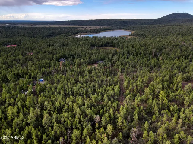 a view of a city with lush green forest