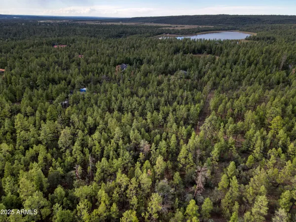 a view of a lush green forest with trees and some houses