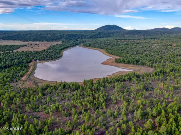 a view of a lake in middle of the green field