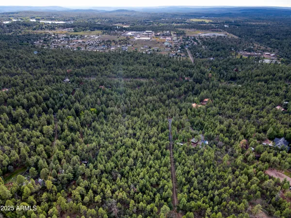 an aerial view of residential houses with outdoor space and trees