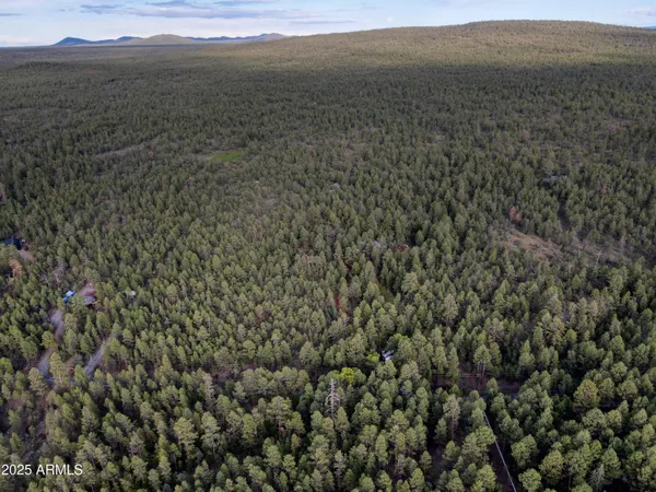 a view of a lush green field