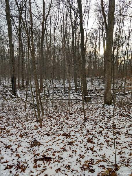 2122 Atwell Road Attica, MI 48412 - Photo 30 of 43 Back of Property.jpg