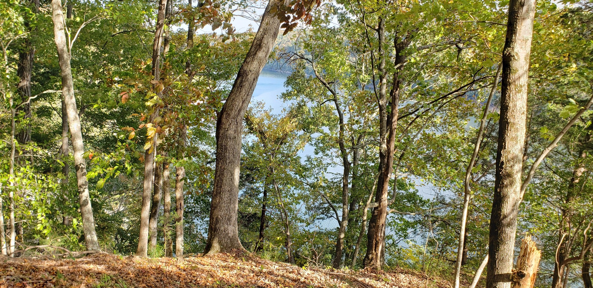 570 Potts Camp Road Smithville, TN 37166 - Photo 1 of 20 Gallery Image 1