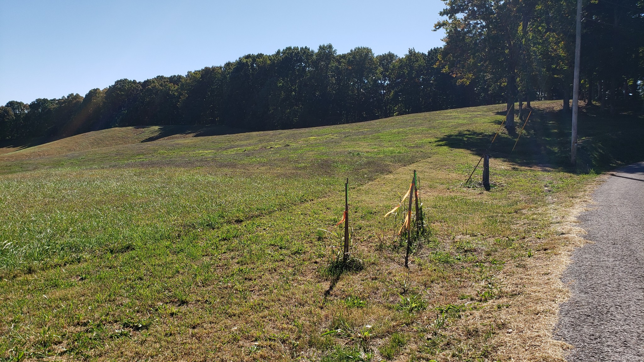 570 Potts Camp Road Smithville, TN 37166 - Photo 11 of 20 Gallery Image 11
