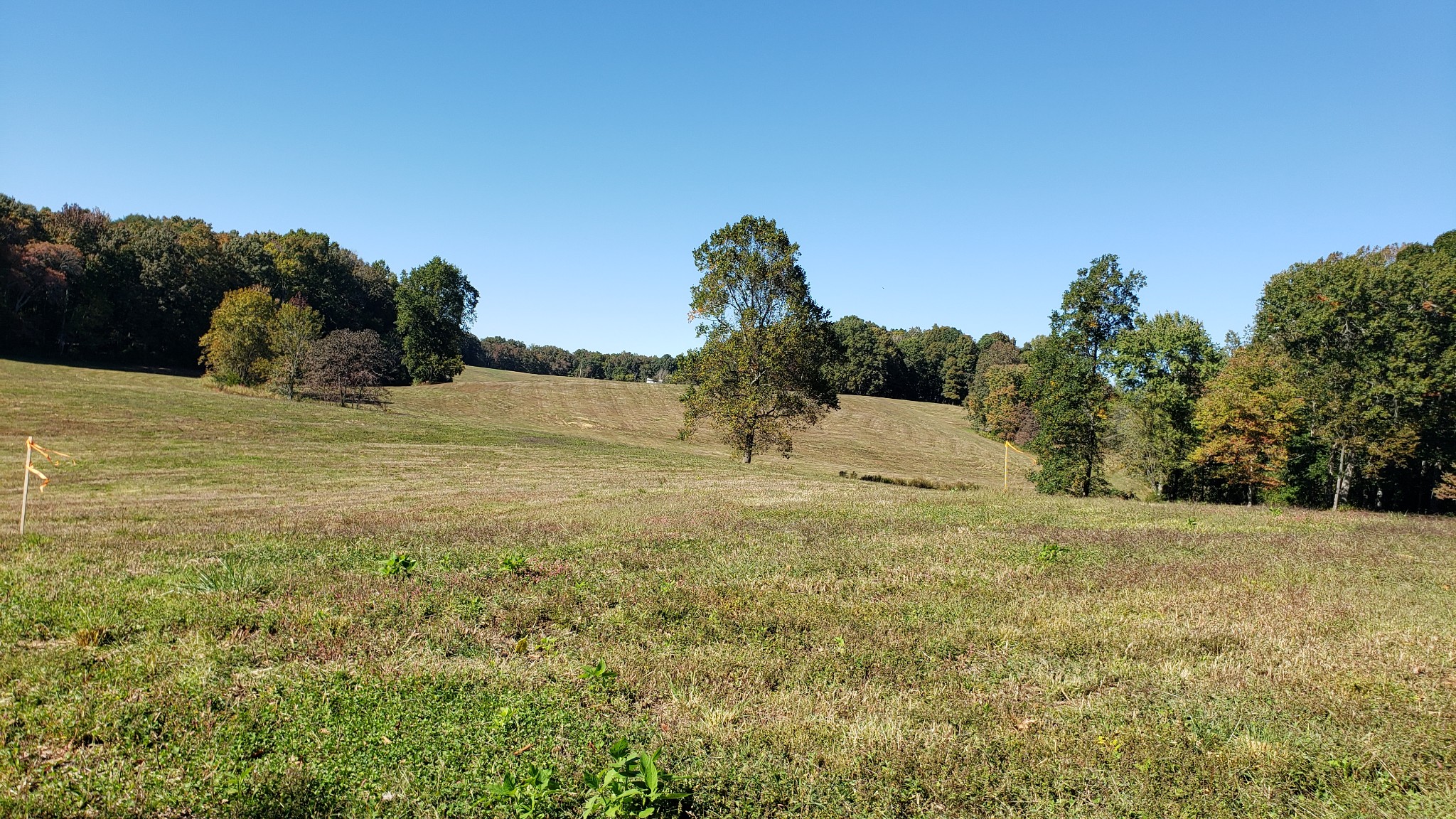 570 Potts Camp Road Smithville, TN 37166 - Photo 12 of 20 Gallery Image 12