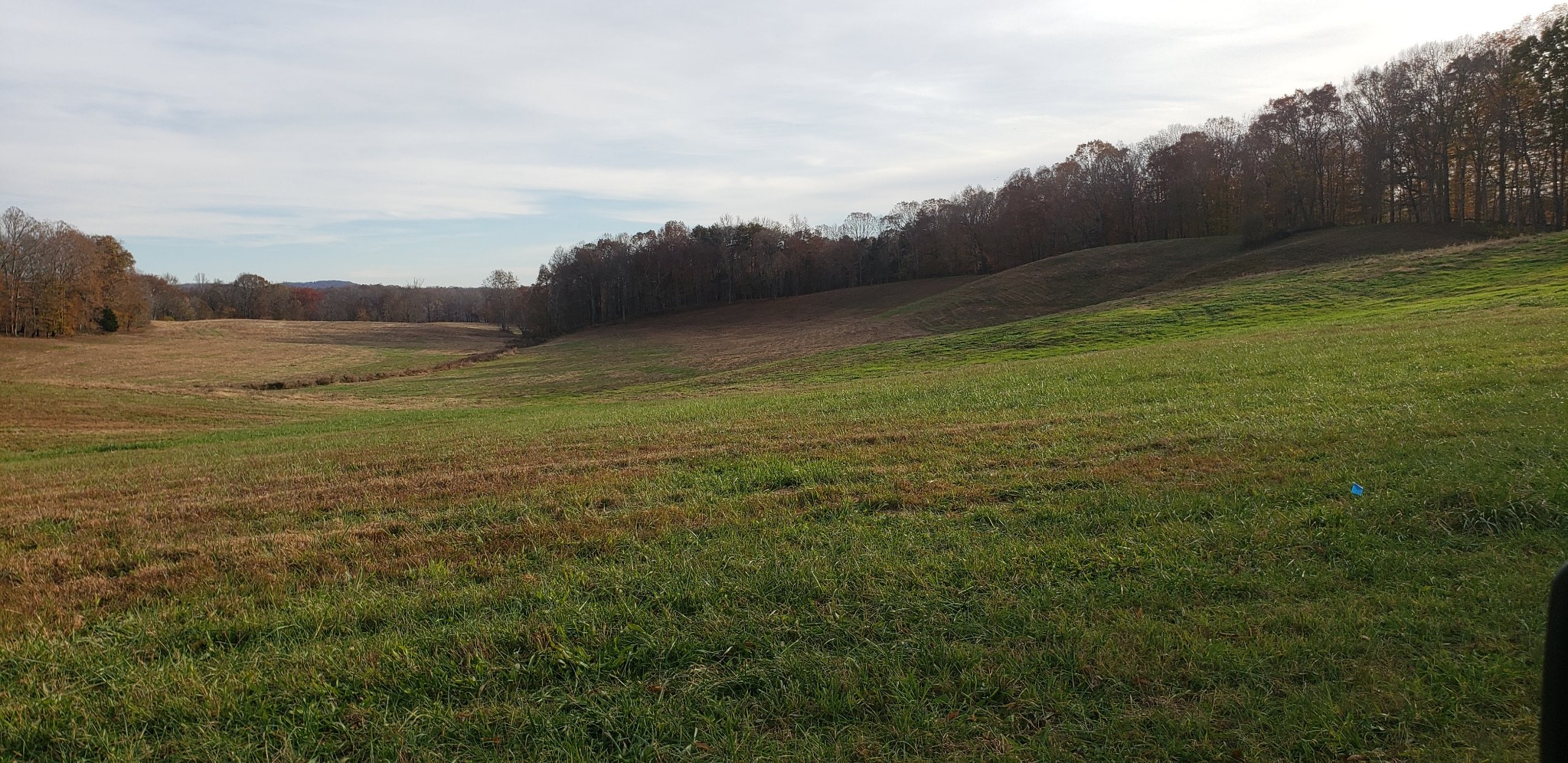 570 Potts Camp Road Smithville, TN 37166 - Photo 15 of 20 Gallery Image 15