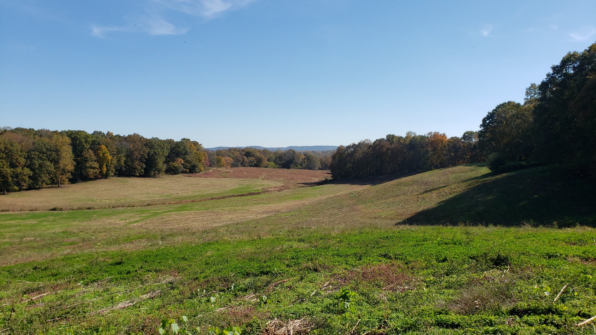 570 Potts Camp Road Smithville, TN 37166 - Photo 17 of 20 Gallery Image 17