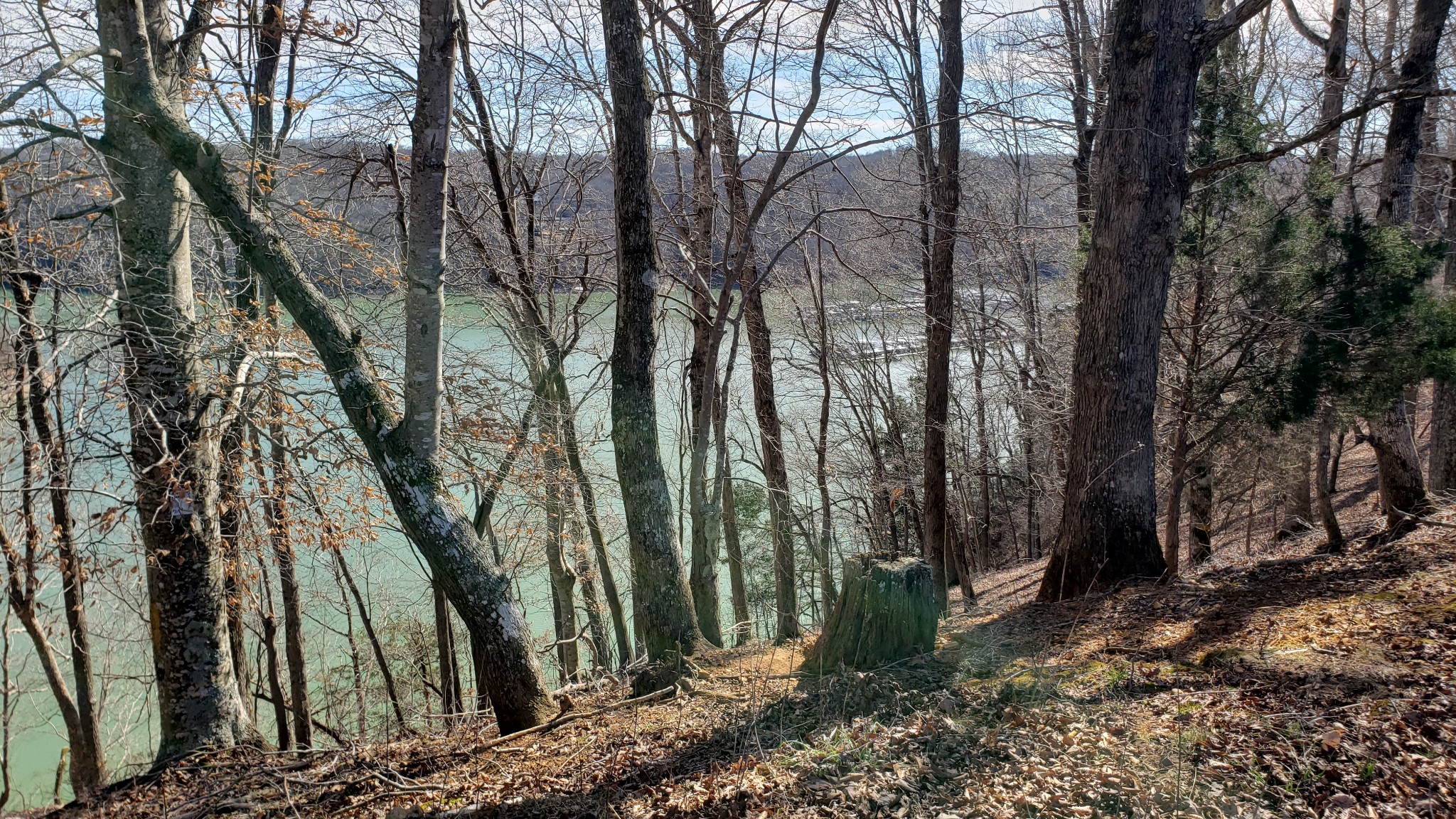 570 Potts Camp Road Smithville, TN 37166 - Photo 2 of 20 Gallery Image 2
