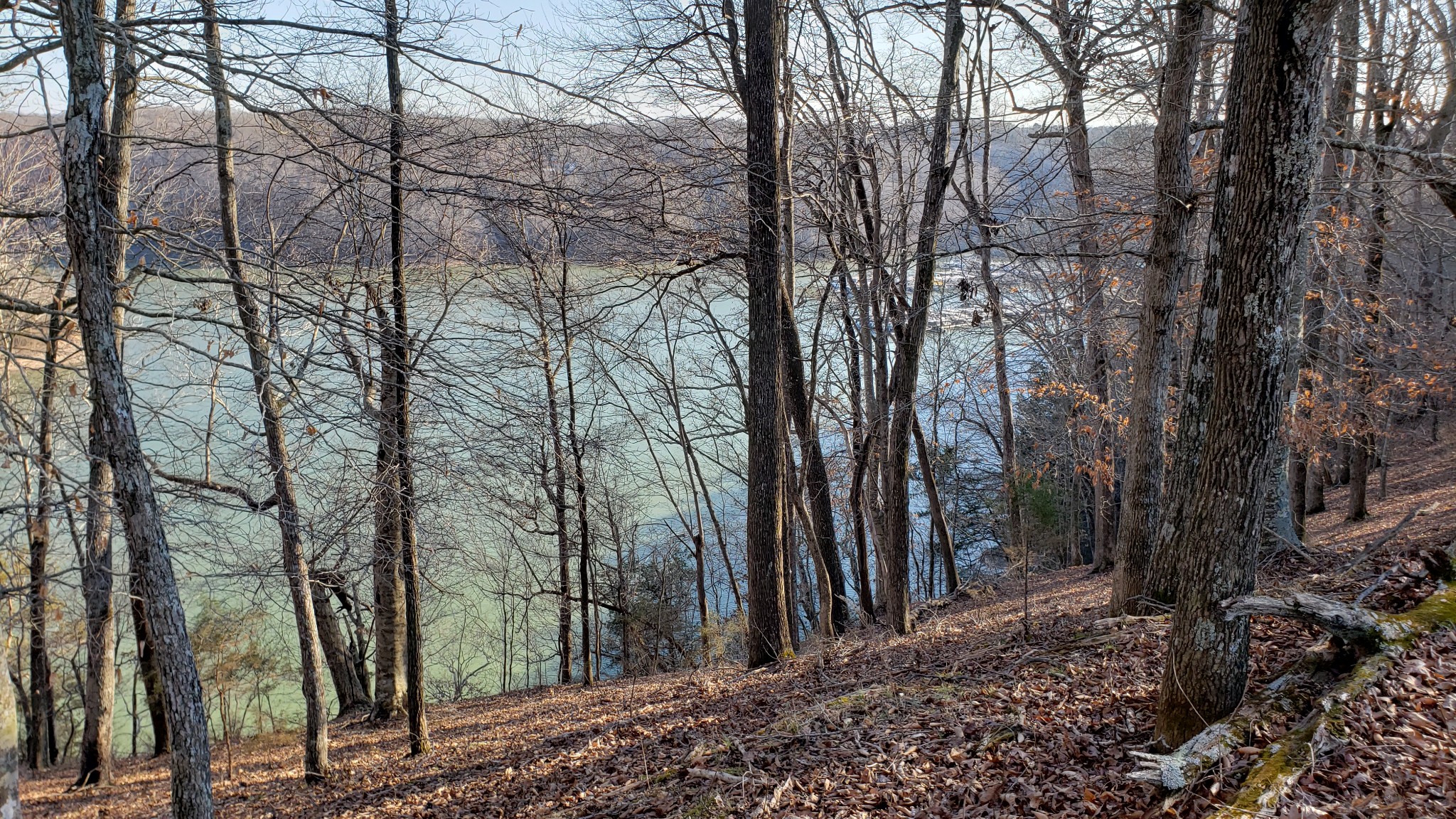 570 Potts Camp Road Smithville, TN 37166 - Photo 3 of 20 Gallery Image 3