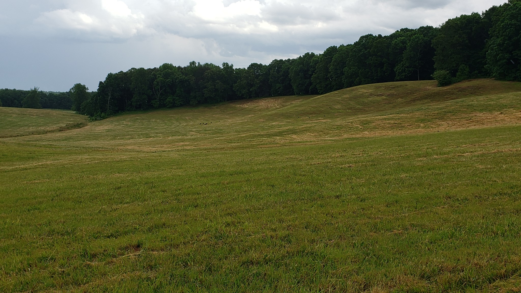 570 Potts Camp Road Smithville, TN 37166 - Photo 8 of 20 Gallery Image 8