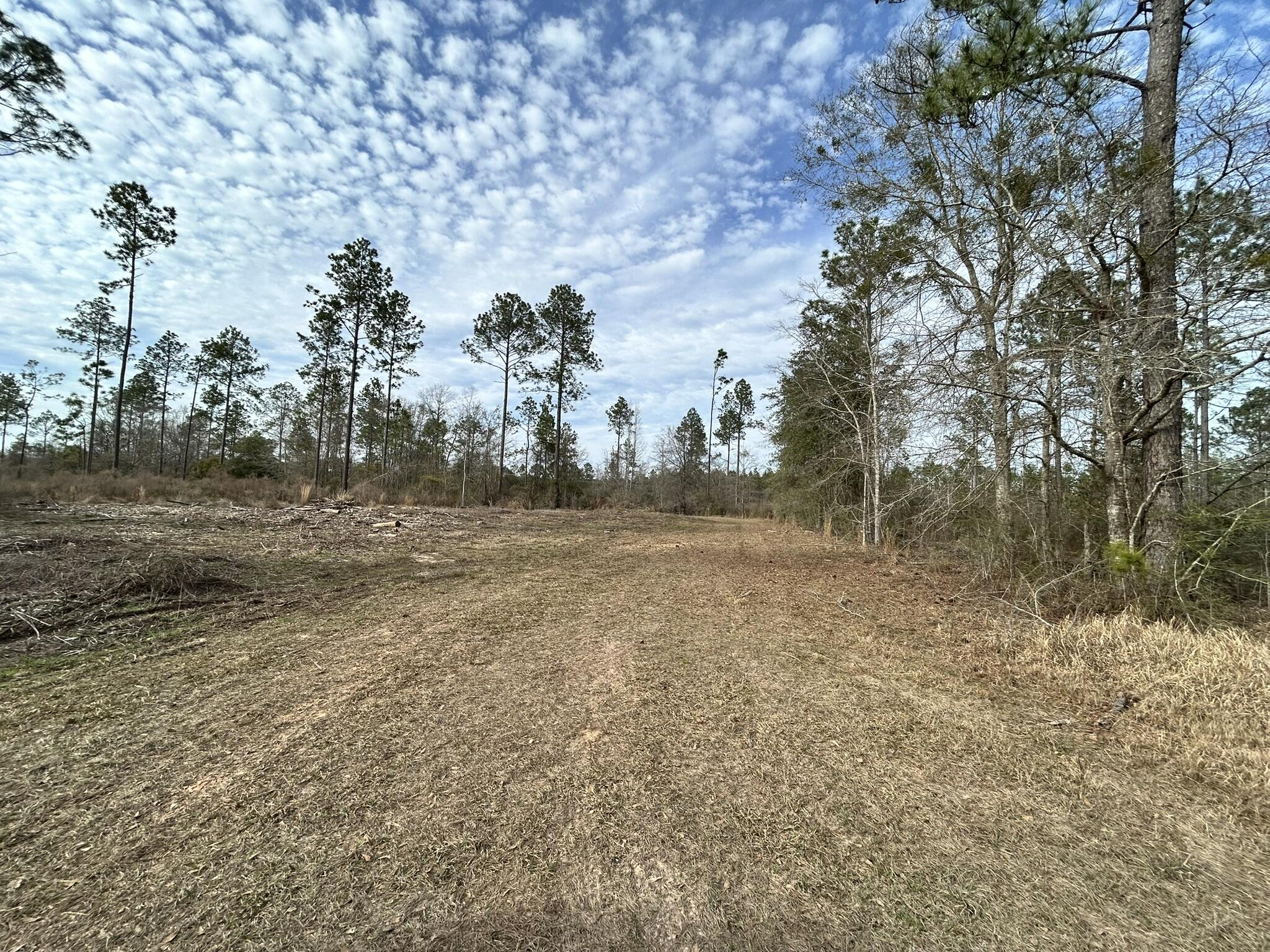 Parcel B Melton Road Baker, FL 32531 - Photo 6 of 7 a view of dirt field with trees