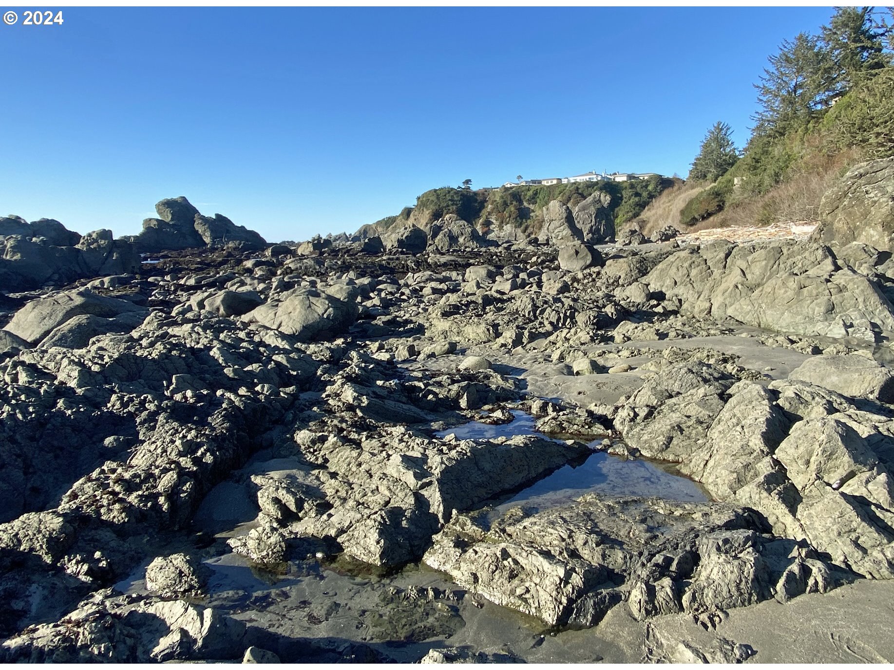 270 Allen Lane Brookings, OR 97415 - Photo 42 of 47