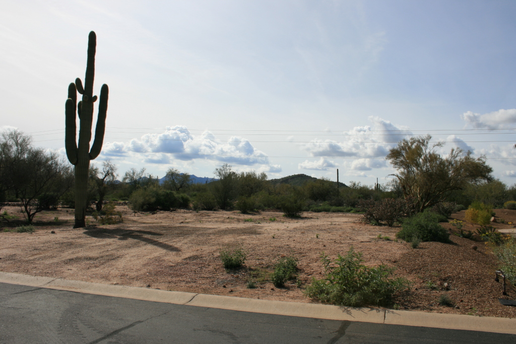 27008 North Palo Fiero Road, Unit 114 Rio Verde, AZ 85263 - Photo 1 of 5 View of Lot