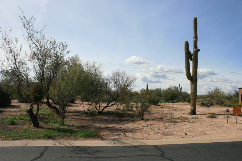 27008 North Palo Fiero Road, Unit 114 Rio Verde, AZ 85263 - Photo 2 of 5 View of Lot