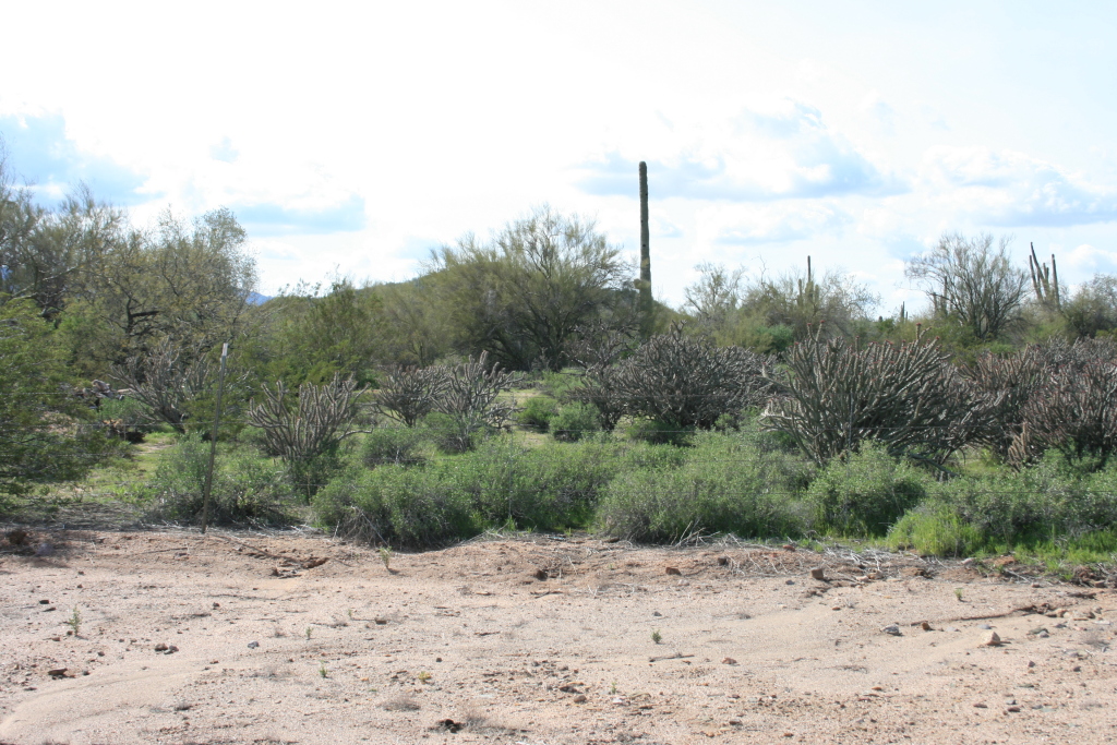 27008 North Palo Fiero Road, Unit 114 Rio Verde, AZ 85263 - Photo 3 of 5 Lot View