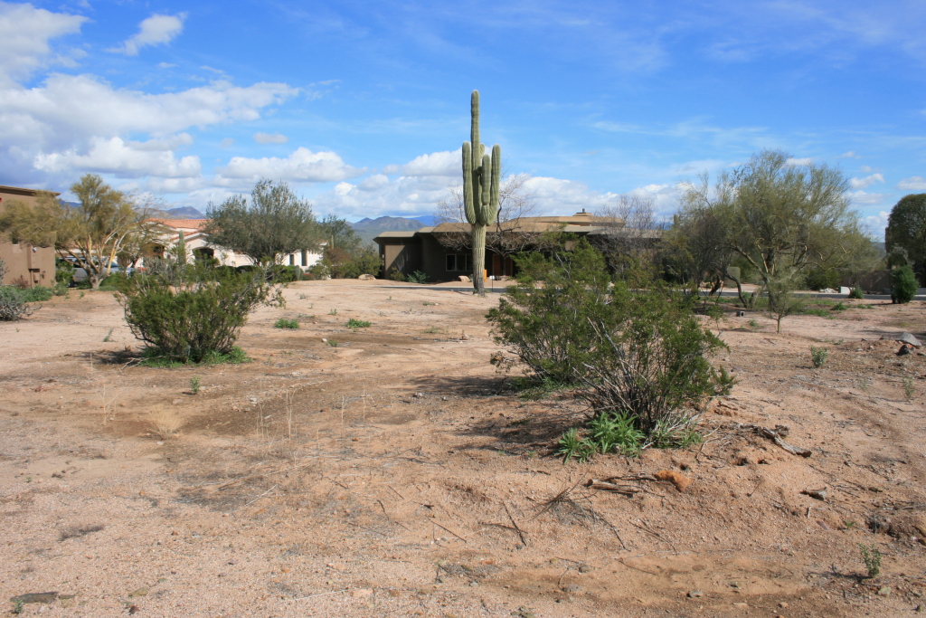 27008 North Palo Fiero Road, Unit 114 Rio Verde, AZ 85263 - Photo 5 of 5 View of Lot