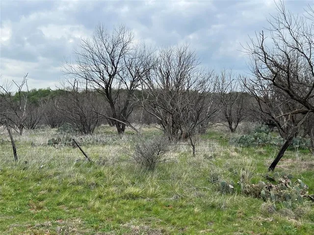 $91,000 | 252 Loop 252, Caddo, TX 76429