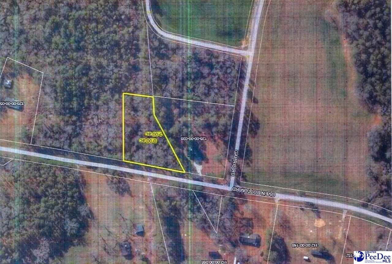 Lot 1 Oven Bottom Road Lake View, SC 29563 - Photo 2 of 2 Gallery Image 2