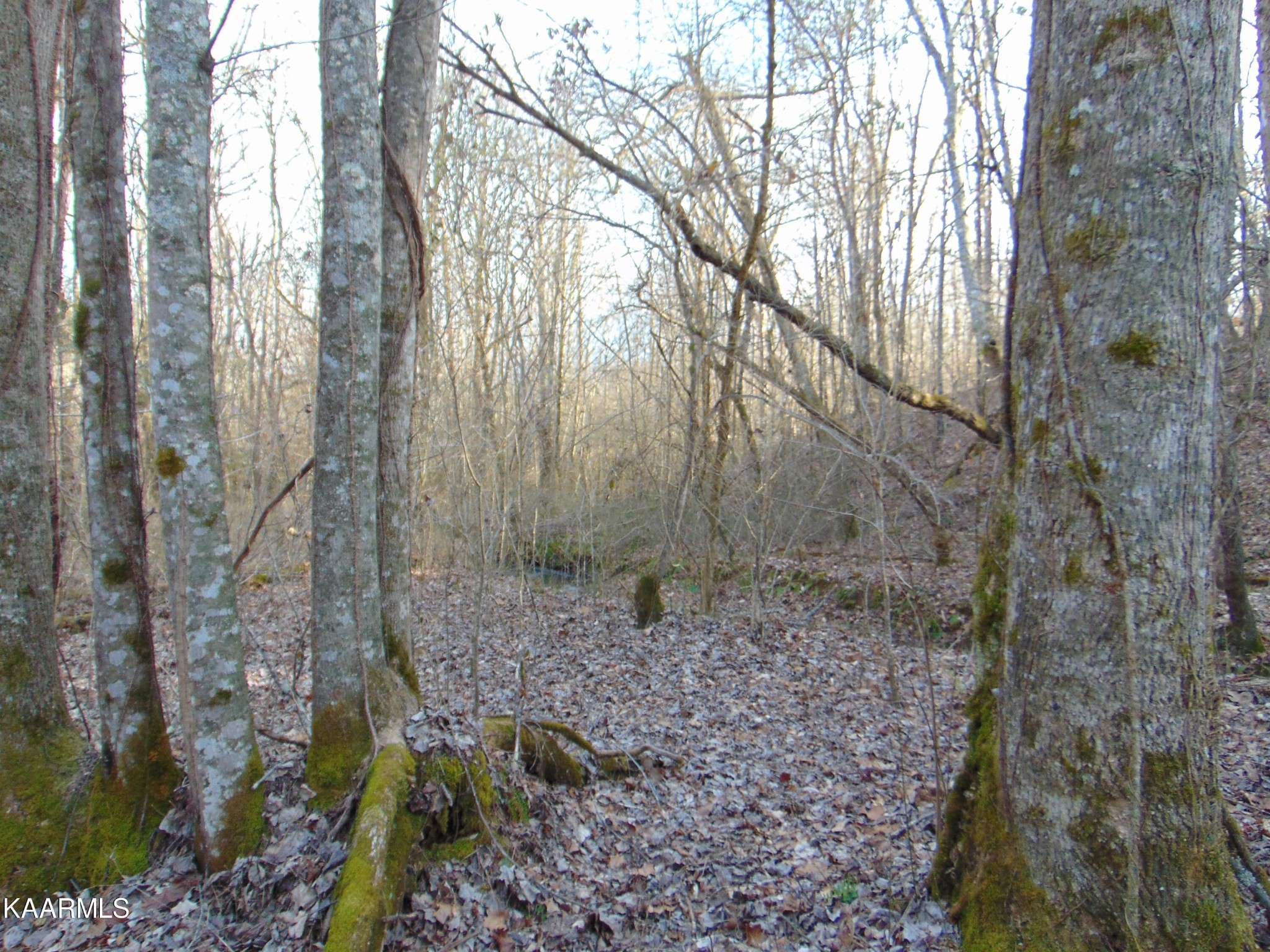 11 Athens Road Calhoun, TN 37309 - Photo 48 of 59 Gallery Image 48