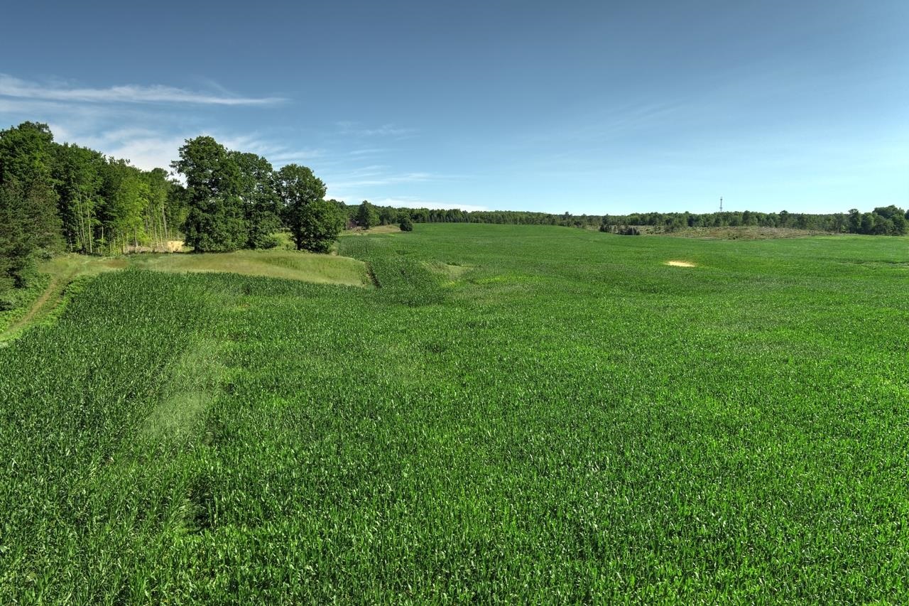 0 West 14th Road Mesick, MI 49668 - Photo 15 of 25