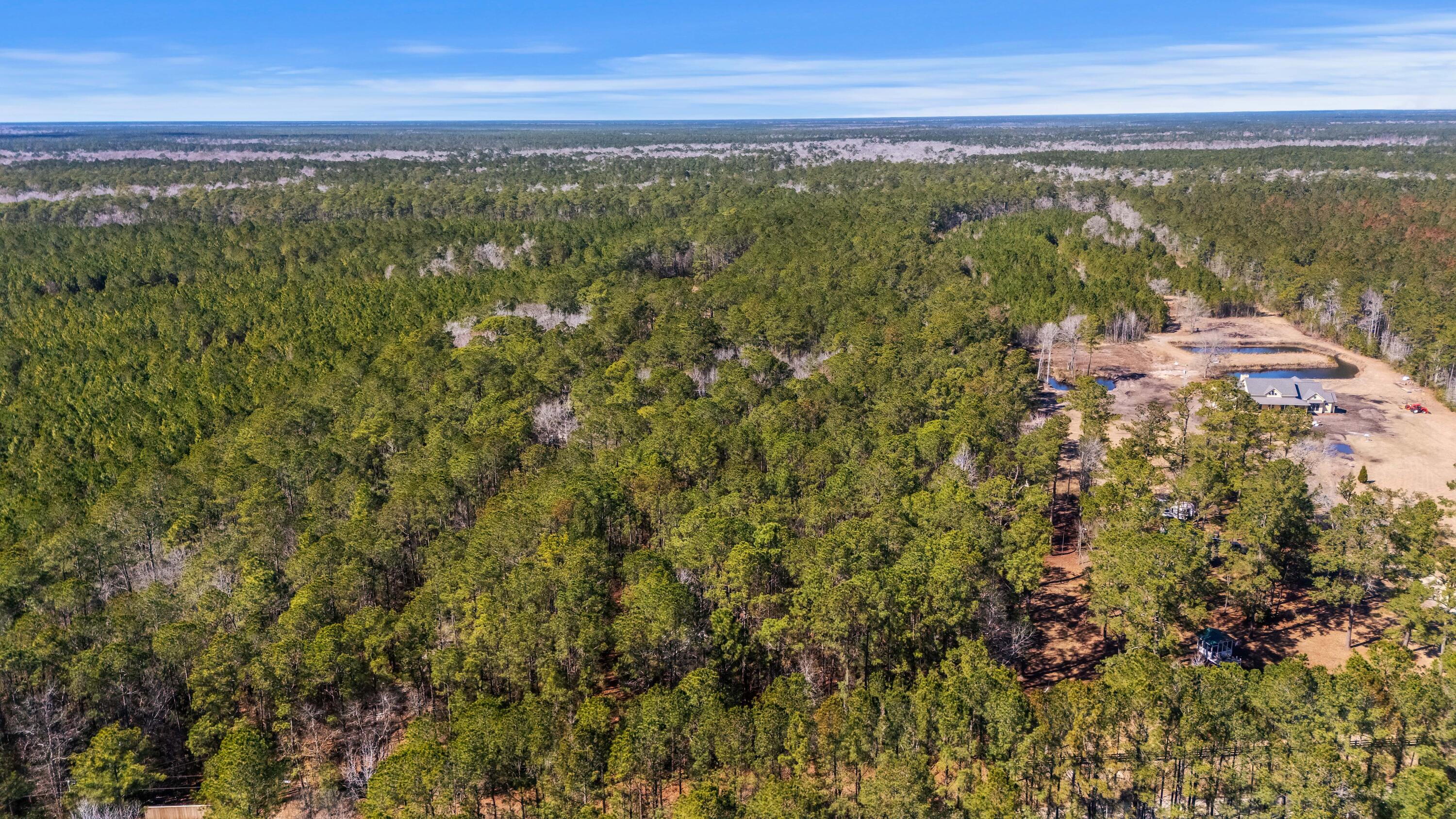 9168 Old Georgetown Road McClellanville, SC 29458 - Photo 32 of 45 DJI_20260223134831_0570_D