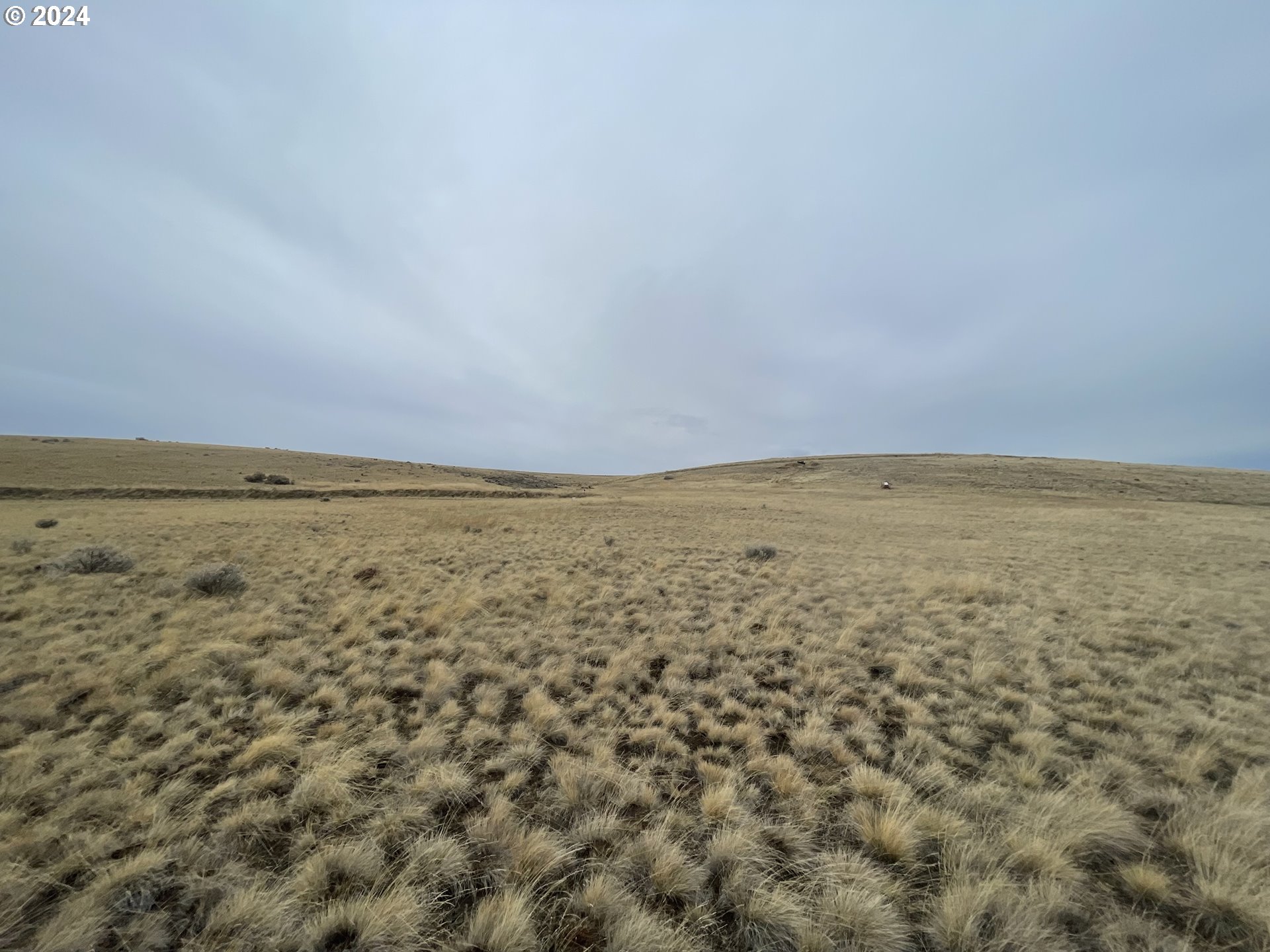 58952 Liberty School Road Heppner, OR 97836 - Photo 3 of 16
