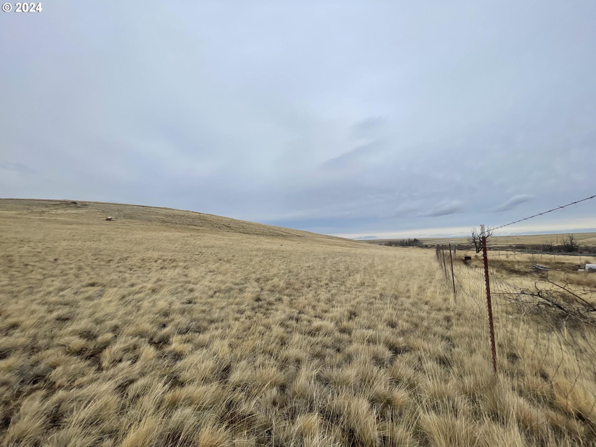 58952 Liberty School Road Heppner, OR 97836 - Photo 4 of 16