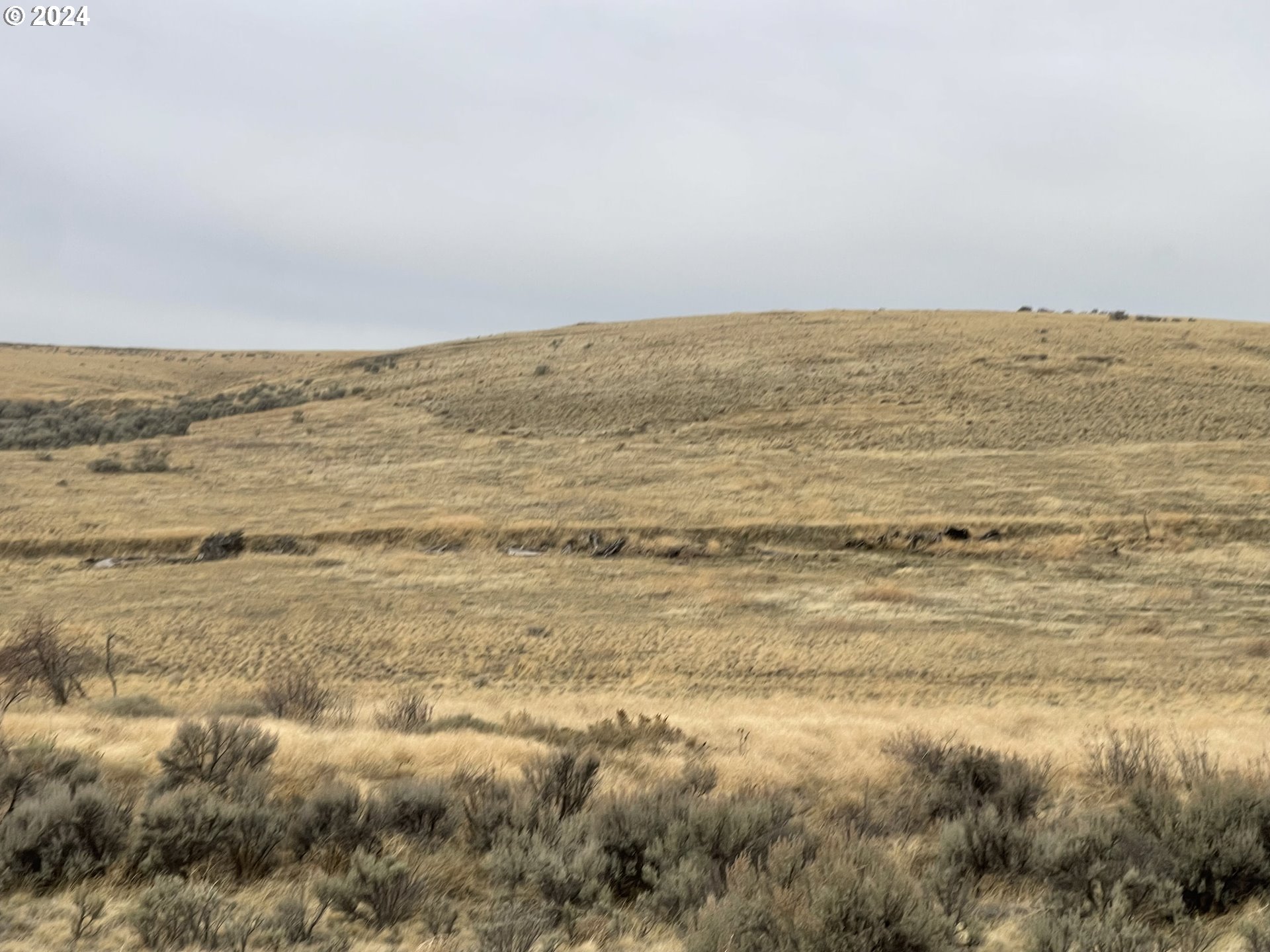 58952 Liberty School Road Heppner, OR 97836 - Photo 7 of 16