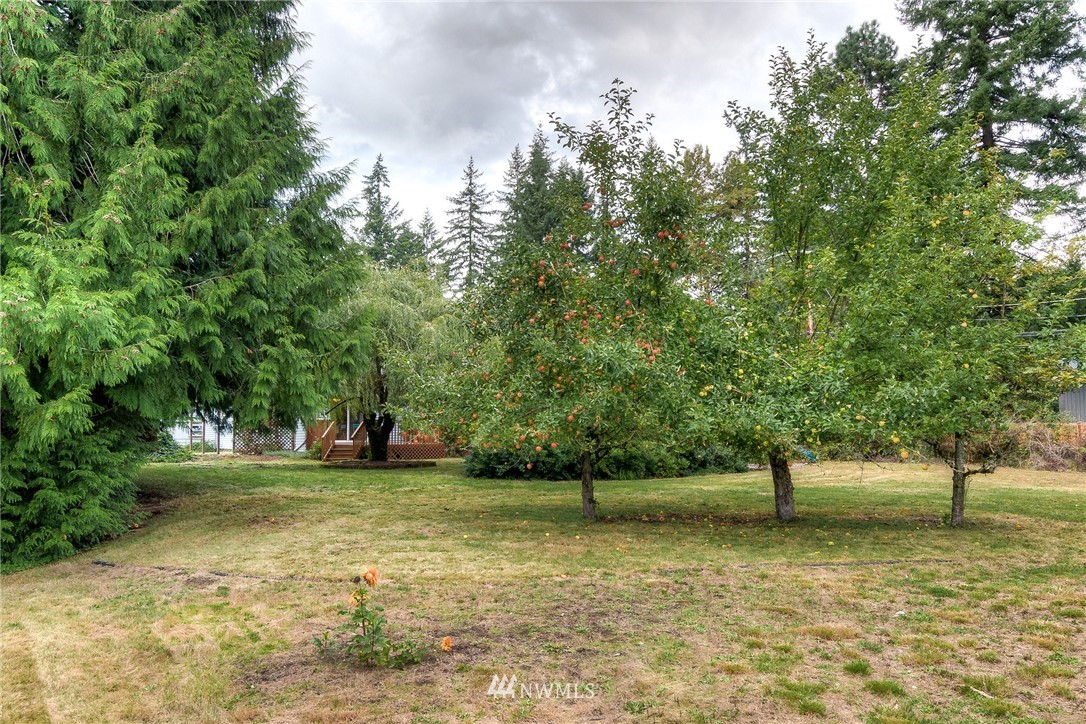 13453 Patriot Way Renton, WA 98059 - Photo 24 of 25 a view of a tree in a yard