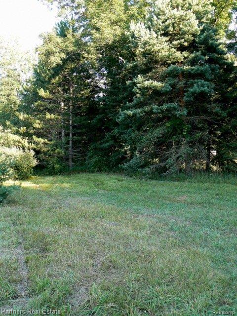 0 Coon Lake Howell, MI 48843 - Photo 5 of 12 Natural Privacy
