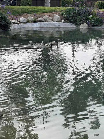 a bunch of flowers are in a garden
