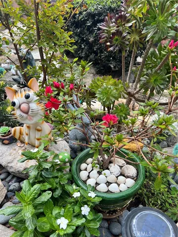 a view of a flowers in a tree