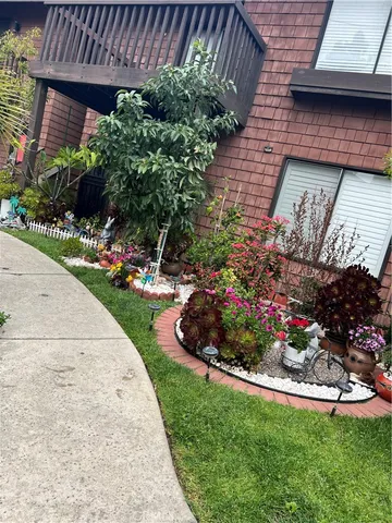 a bunch of flowers and flowers