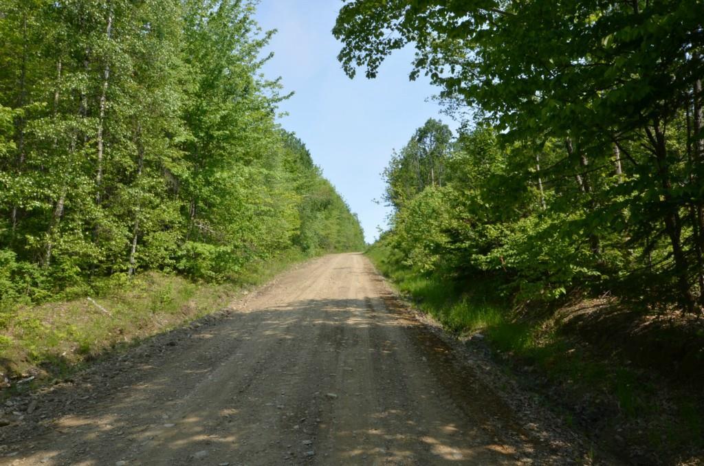 0 Casey Road Benedicta, ME 04733 - Photo 11 of 12 Maine Land for Sale in Herseytown...