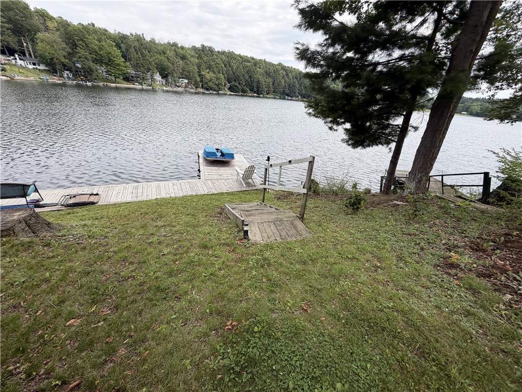 1978 West Shore Road Howard, NY 14810 - Photo 21 of 29 level lawn area