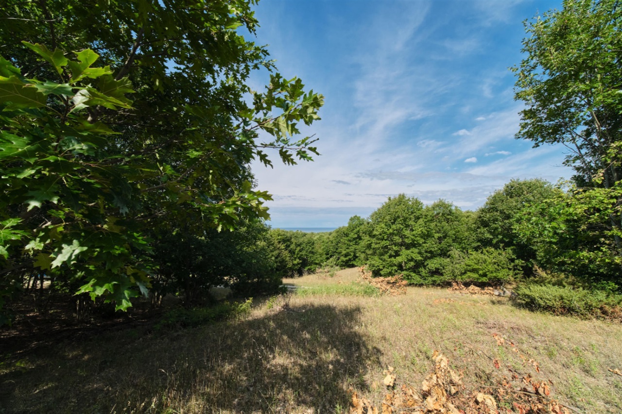 Arcadia Ridge Drive Onekama, MI 49675 - Photo 46 of 52