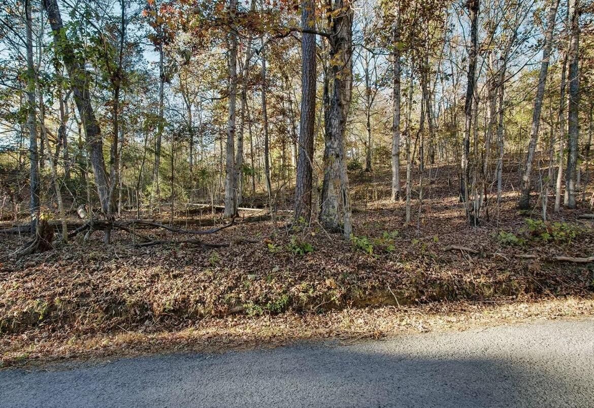 67 Morrison Road Decatur, TN 37322 - Photo 1 of 1 Gallery Image 1
