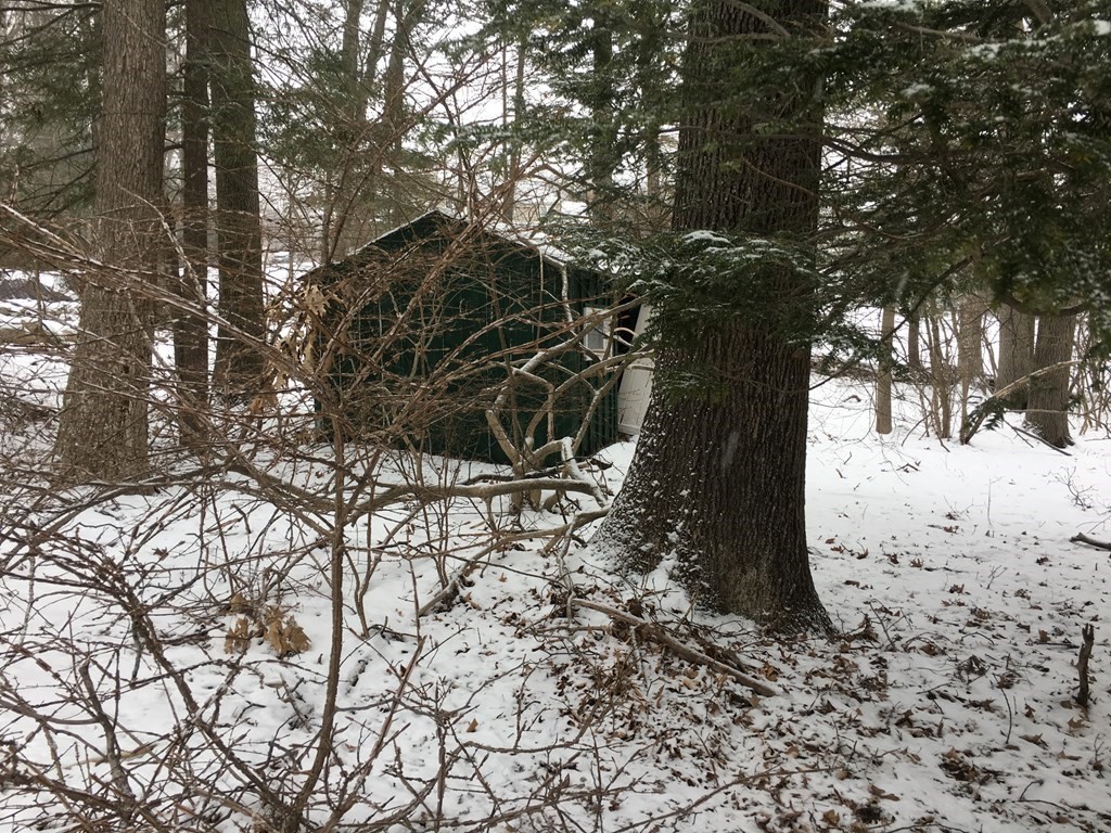 49 Indian Spring Road Ashland, MA 01721 - Photo 17 of 18 a view of a snow on the snow