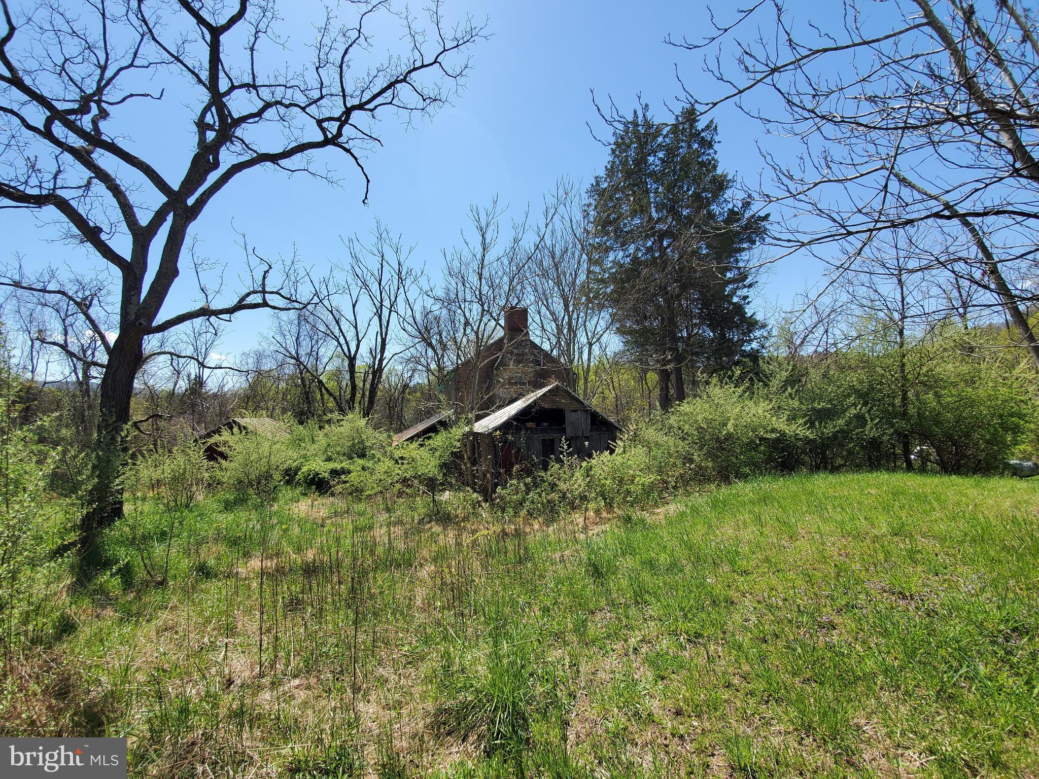 493 Oates Road Star Tannery, VA 22654 - Photo 11 of 20 Gallery Image 11