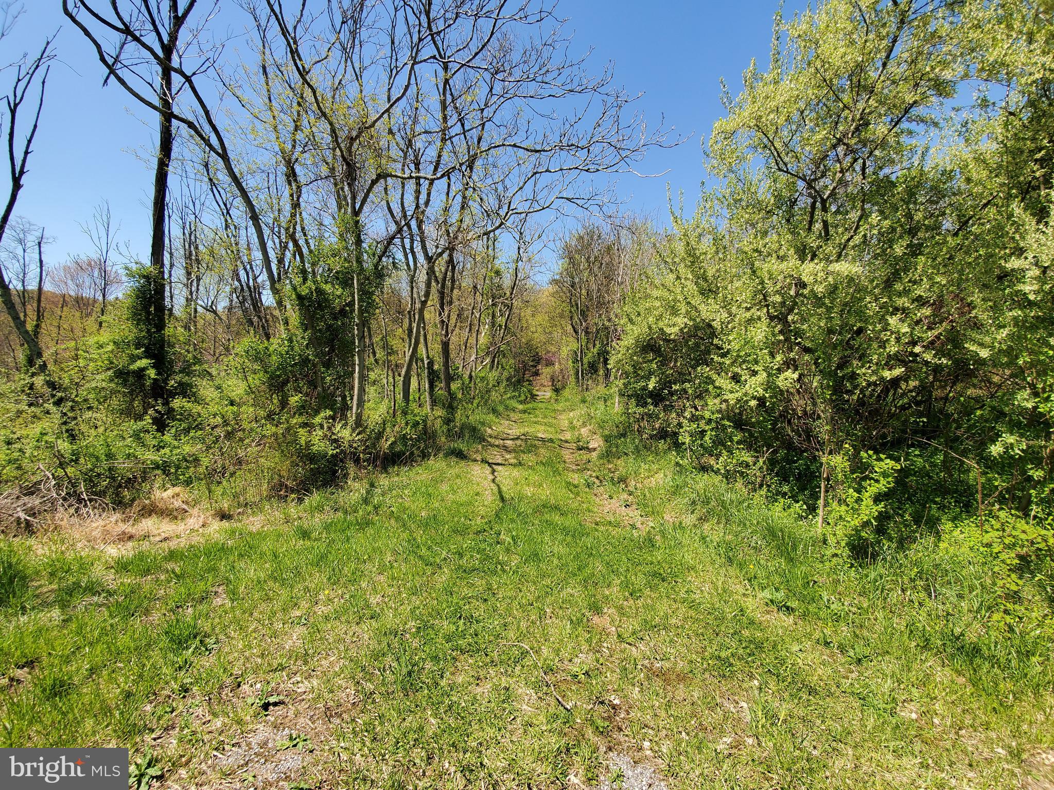 493 Oates Road Star Tannery, VA 22654 - Photo 12 of 20 Gallery Image 12