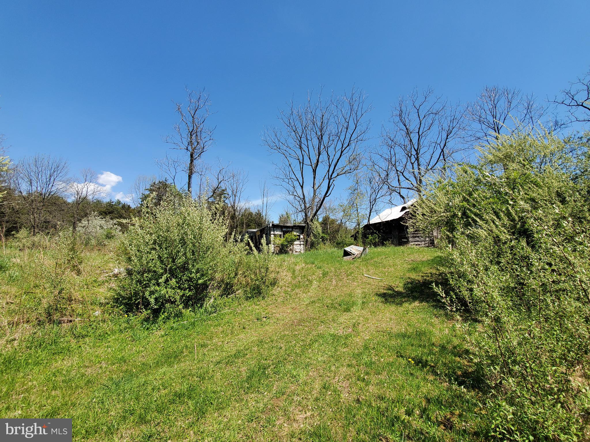 493 Oates Road Star Tannery, VA 22654 - Photo 18 of 20 Gallery Image 18