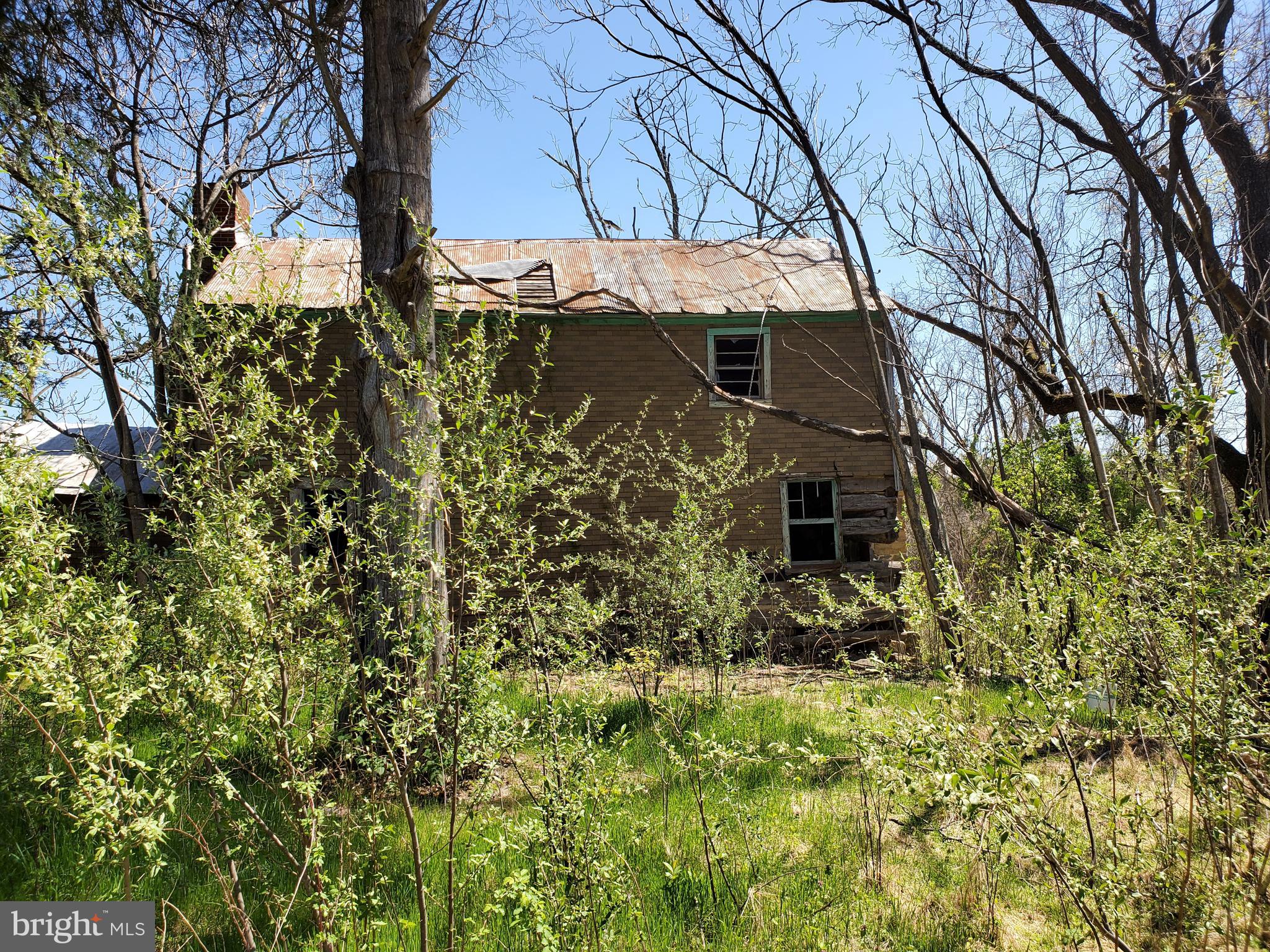 493 Oates Road Star Tannery, VA 22654 - Photo 3 of 20 Old Farmhouse shell