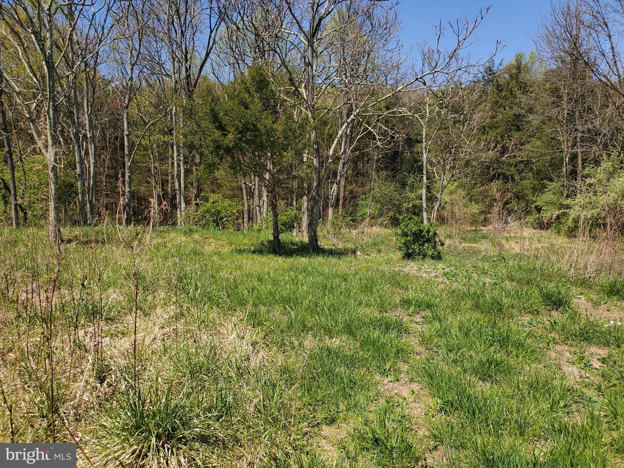 493 Oates Road Star Tannery, VA 22654 - Photo 5 of 20 Gallery Image 5