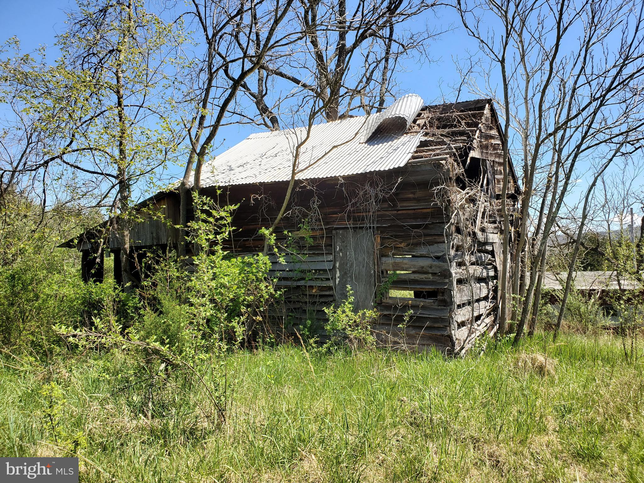 493 Oates Road Star Tannery, VA 22654 - Photo 6 of 20 Gallery Image 6