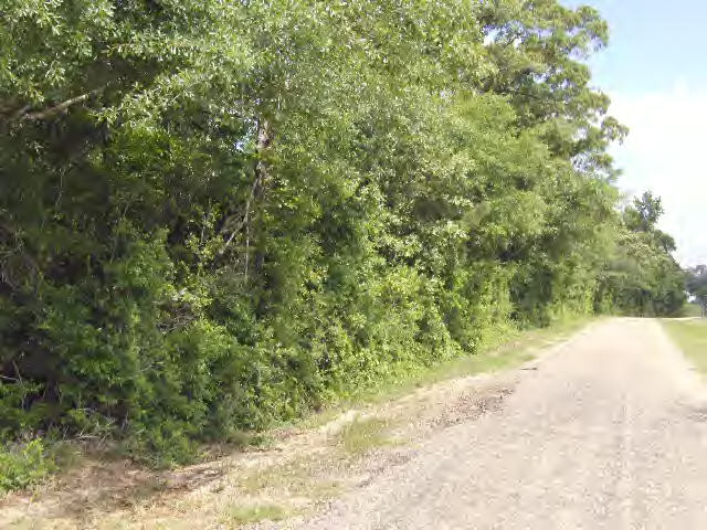Pigott Road Tylertown, MS 39667 - Photo 1 of 1 Main View