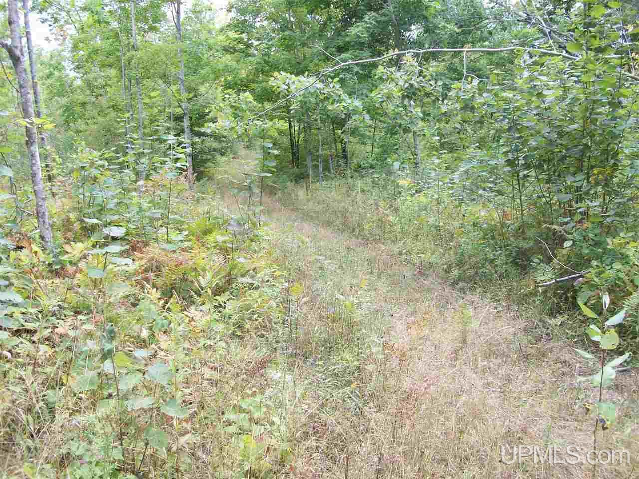 Tbd Fordville Road Foster City, MI 49807 - Photo 11 of 18
