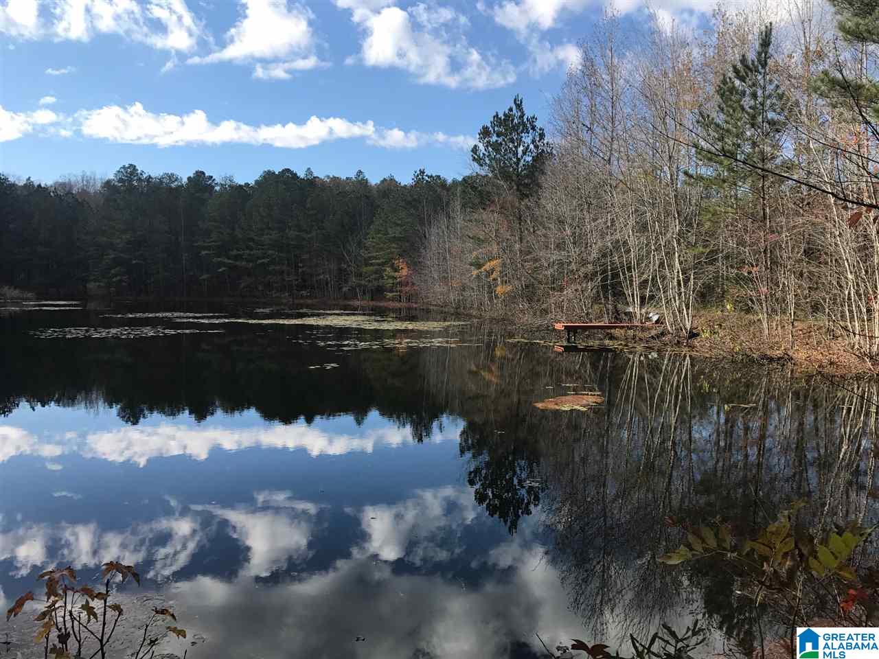 3415 Logan Martin Dam Road, Unit 48 / ACRES Vincent, AL 35178 - Photo 1 of 32