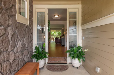 a potted plant sitting in front of a house