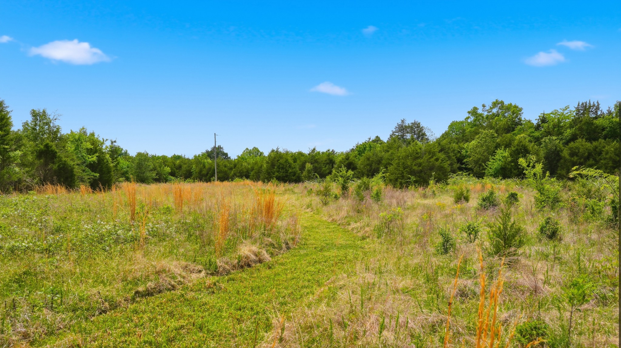 3630 West Trimble Road Milton, TN 37118 - Photo 34 of 36
