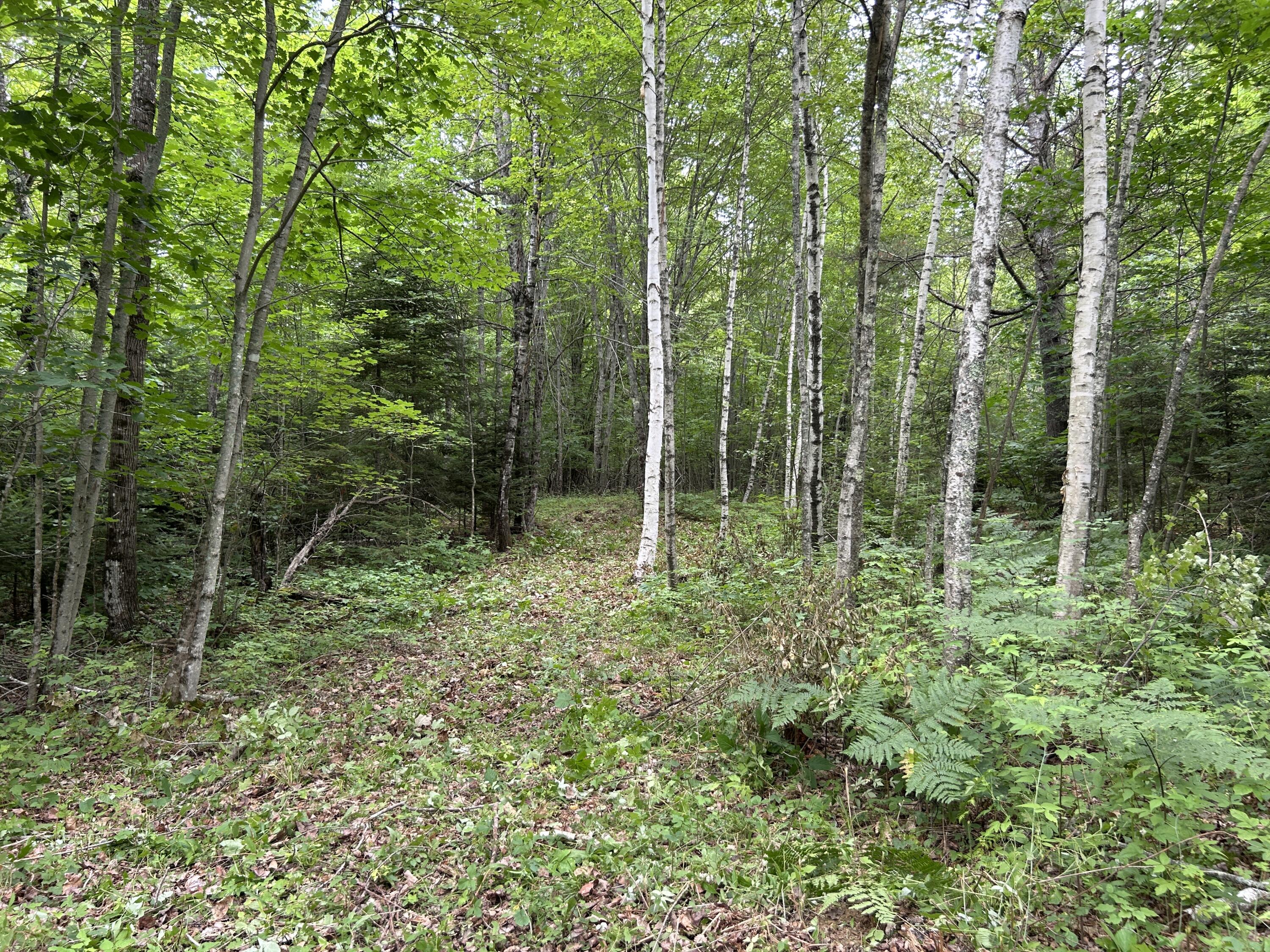 Lot B Ward Hill Road Troy, ME 04987 - Photo 10 of 24 IMG_5231